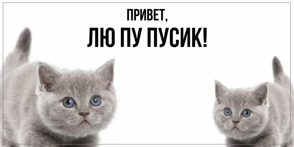 Открытка  для любимых и родных. лю, Привет  