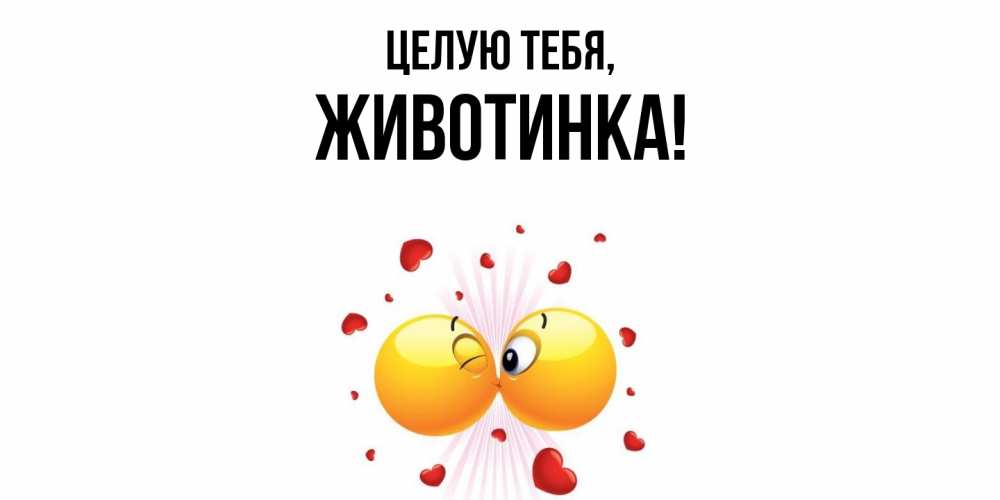 Открытка  для любимых и родных. животинка, Целую тебя  