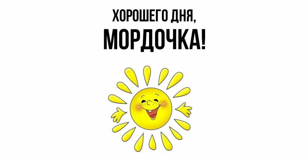 Открытка  для любимых и родных. мордочка, Хорошего дня  