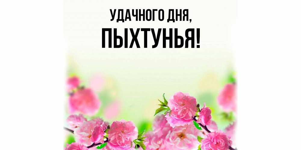 Открытка  для любимых и родных. пыхтунья, Удачного дня  