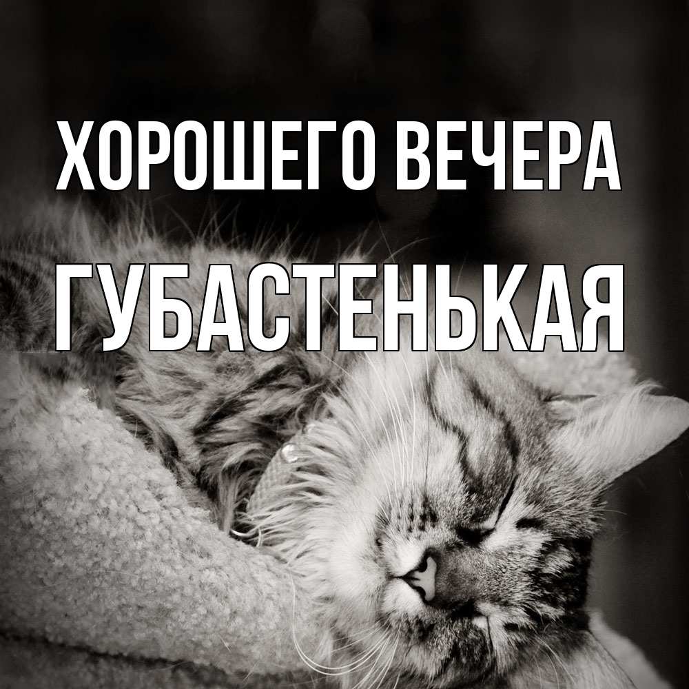 Открытка  для любимых и родных. губастенькая, Хорошего вечера  