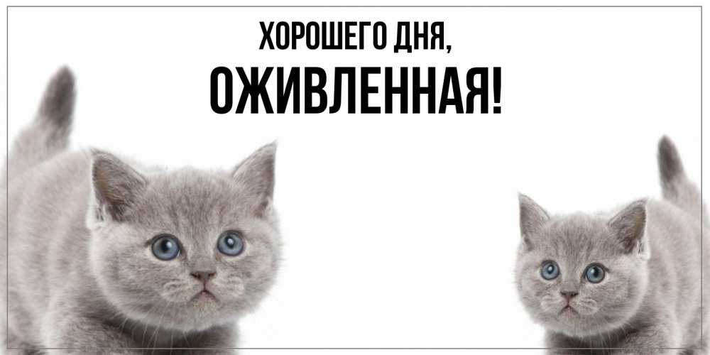 Открытка  для любимых и родных. оживленная, Хорошего дня  