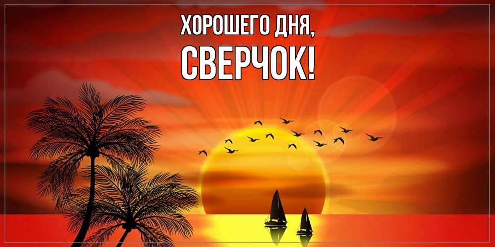Открытка  для любимых и родных. сверчок, Хорошего дня  