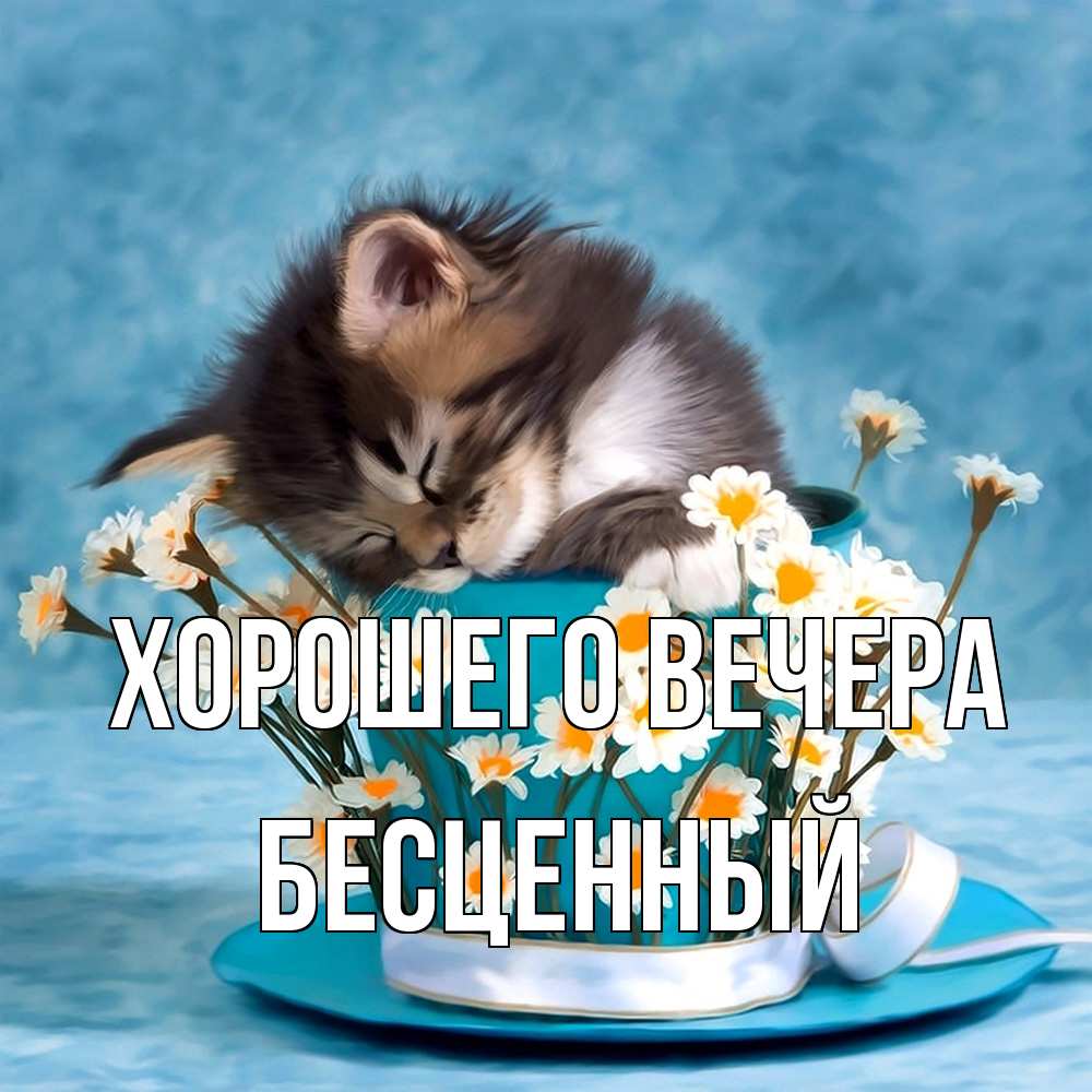 Открытка  для любимых и родных. бесценный, Хорошего вечера  