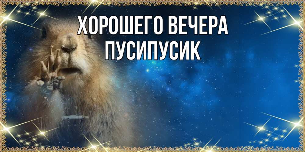 Открытка  для любимых и родных. пусипусик, Хорошего вечера  