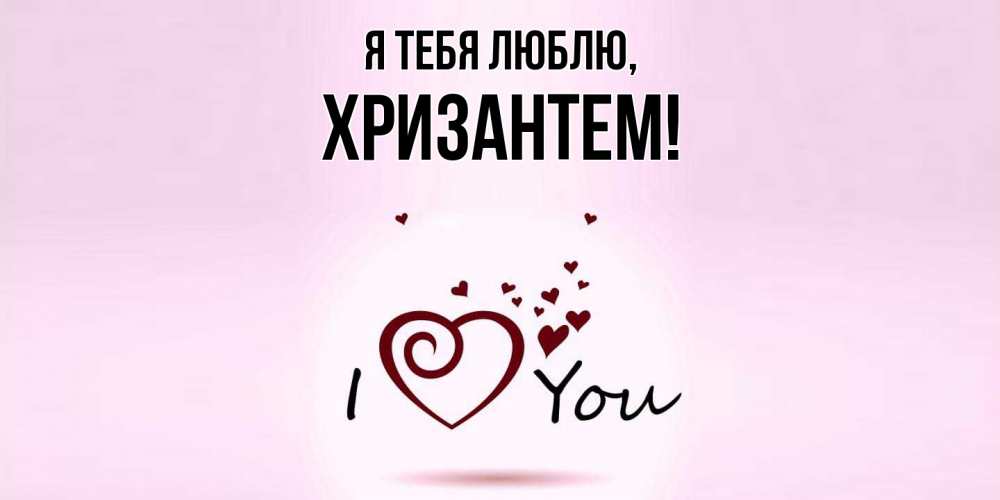 Открытка  для любимых и родных. хризантем, Я тебя люблю  