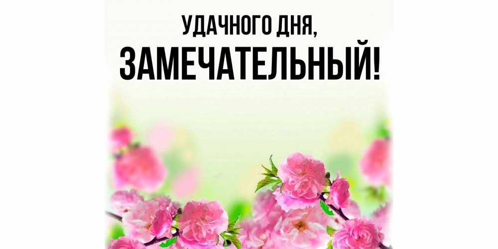 Картинка Удачного дня, замечательный