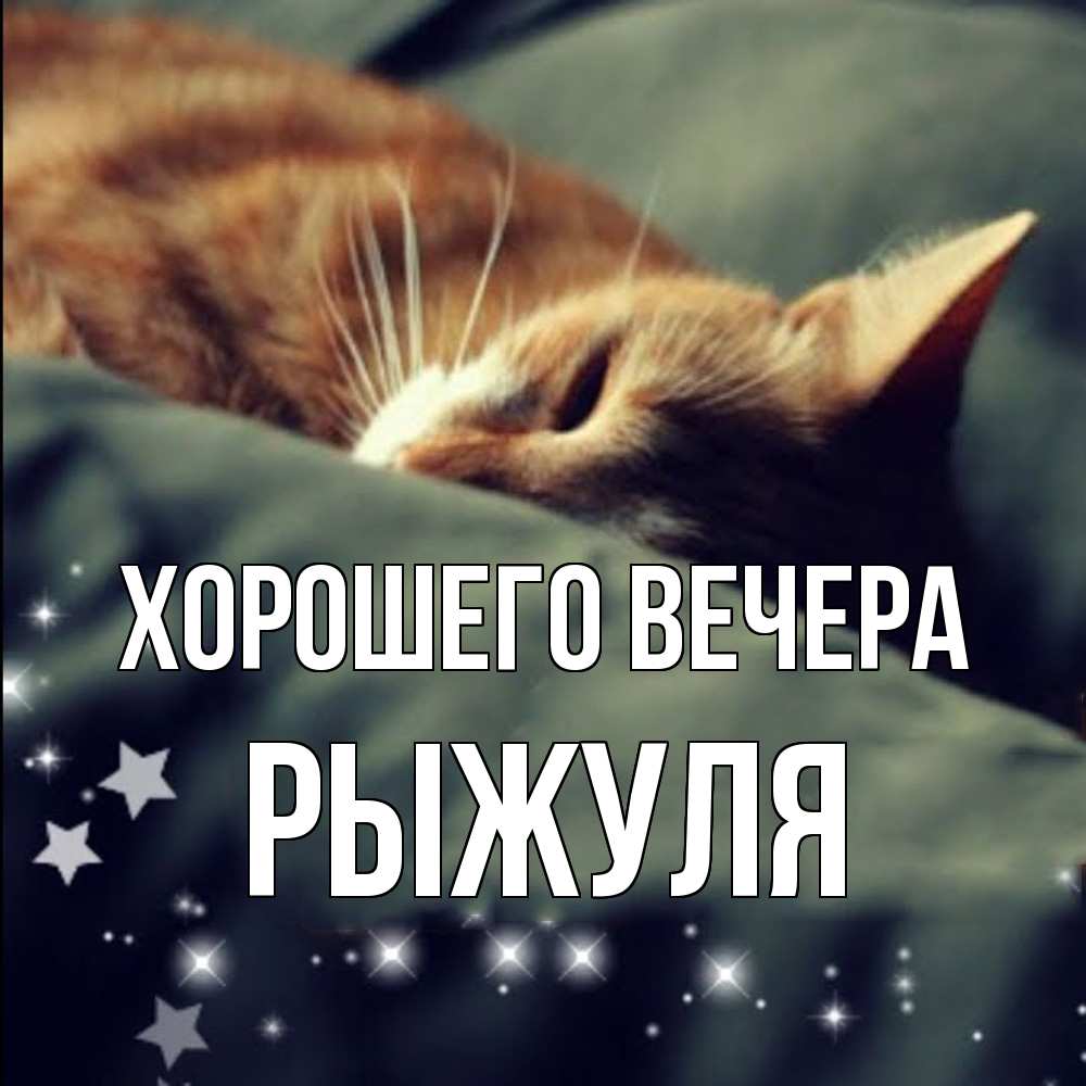 Открытка  для любимых и родных. рыжуля, Хорошего вечера  