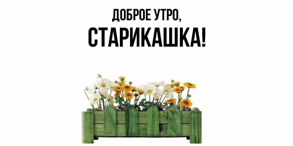 Открытка  для любимых и родных. старикашка, Доброе утро  