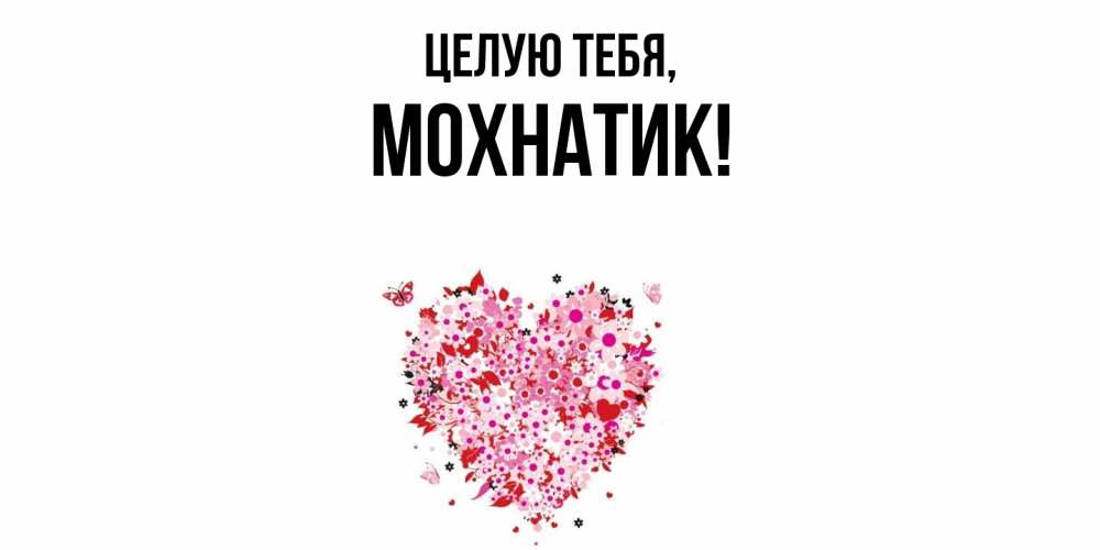 Открытка  для любимых и родных. мохнатик, Целую тебя  