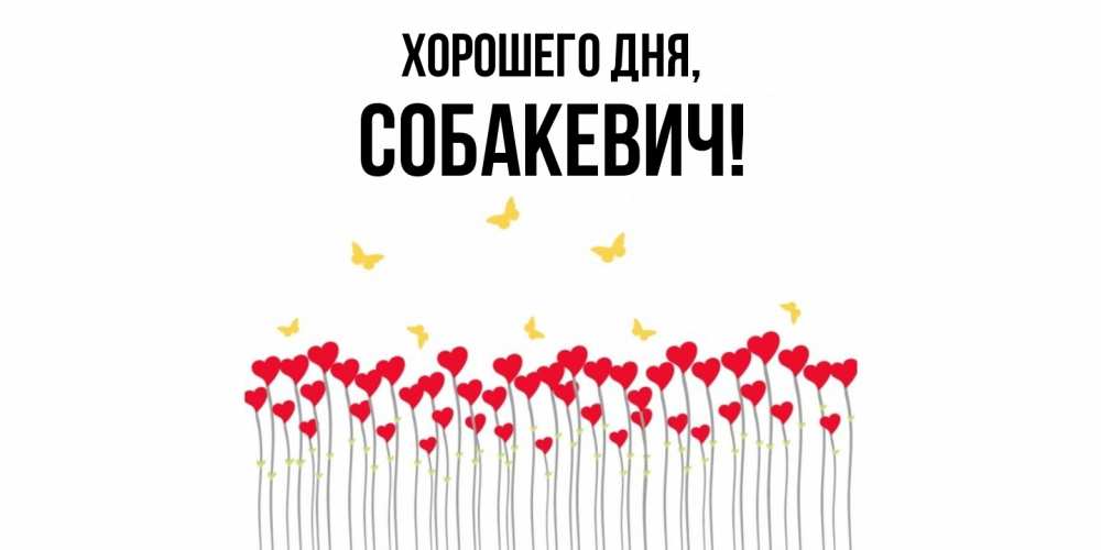 Открытка  для любимых и родных. собакевич, Хорошего дня  