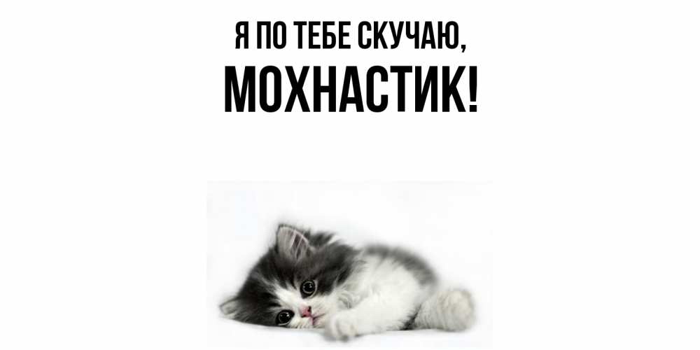 Открытка  для любимых и родных. мохнастик, Я по тебе скучаю  