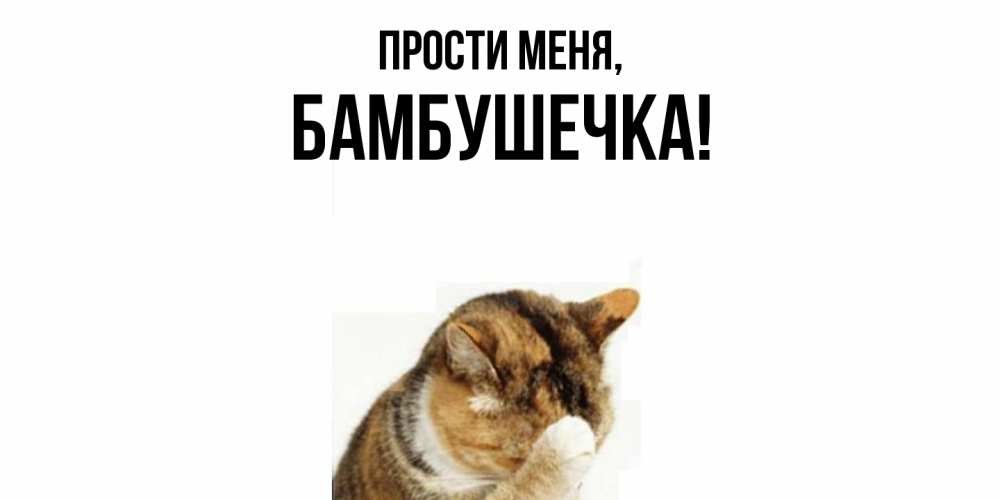 Картинка Прости меня, бамбушечка