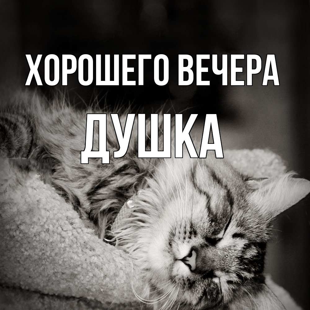 Картинка Хорошего вечера, душка