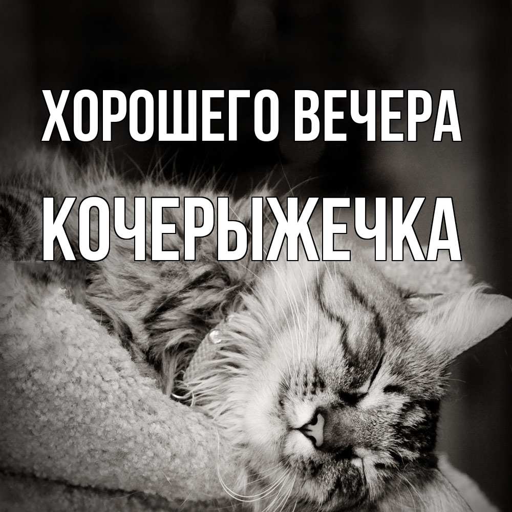 Картинка Хорошего вечера, кочерыжечка