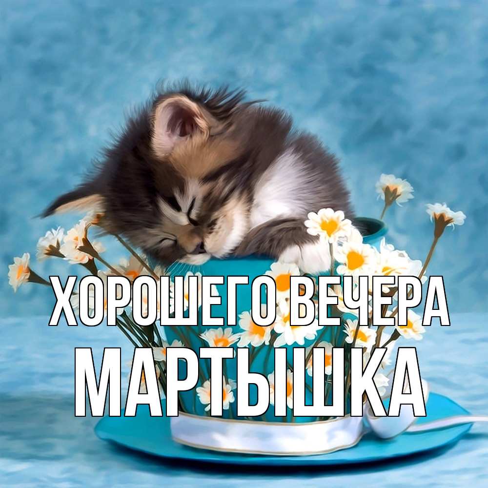 Картинка Хорошего вечера, мартышка