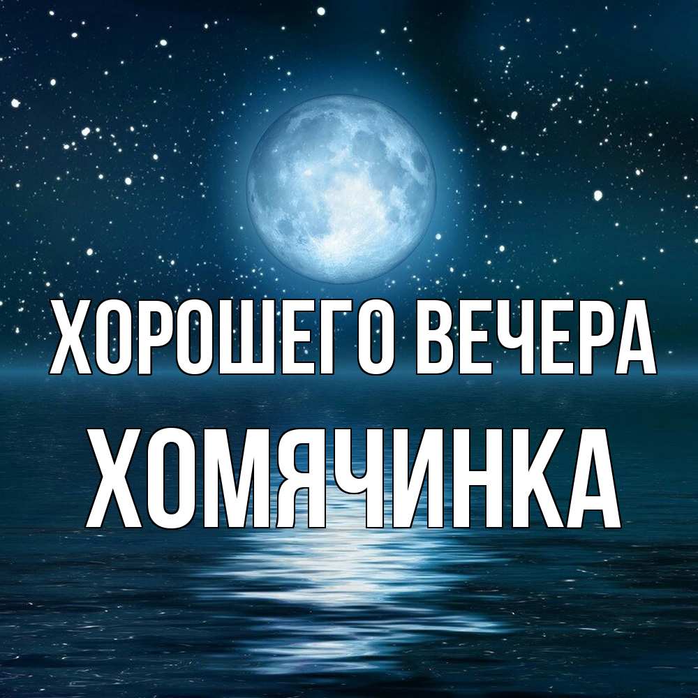 Картинка Хорошего вечера, хомячинка
