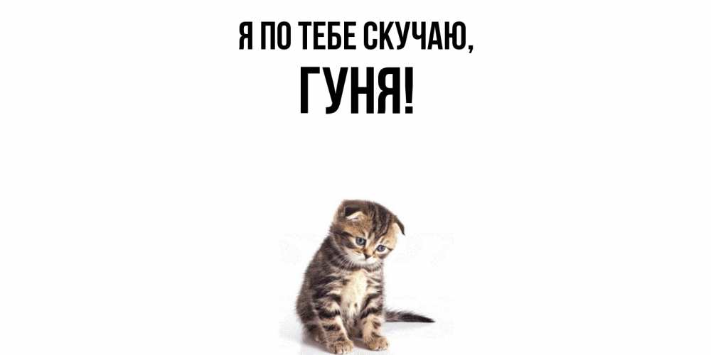 Открытка  для любимых и родных. гуня, Я по тебе скучаю  