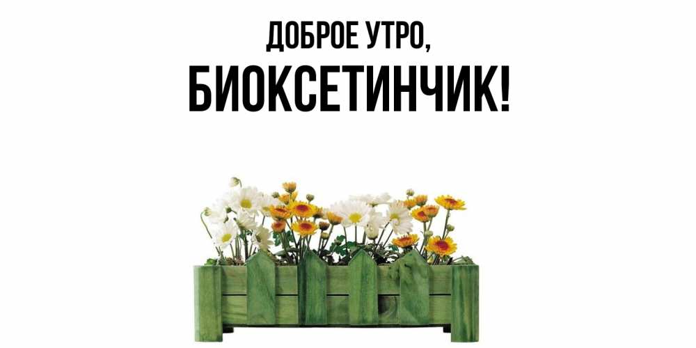 Картинка Доброе утро, биоксетинчик