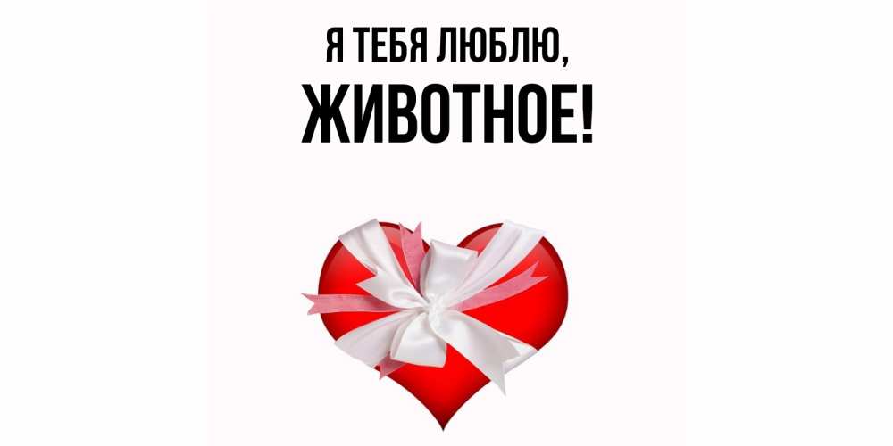 Открытка  для любимых и родных. животное, Я тебя люблю  