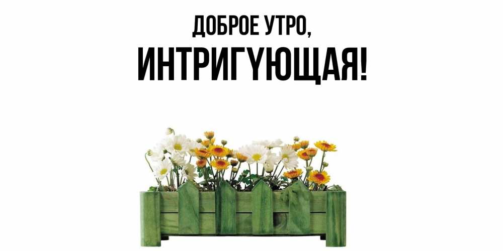Открытка  для любимых и родных. интpигyющая, Доброе утро  
