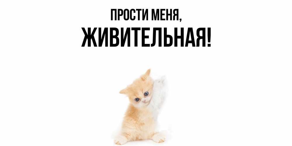 Картинка Прости меня, живительная