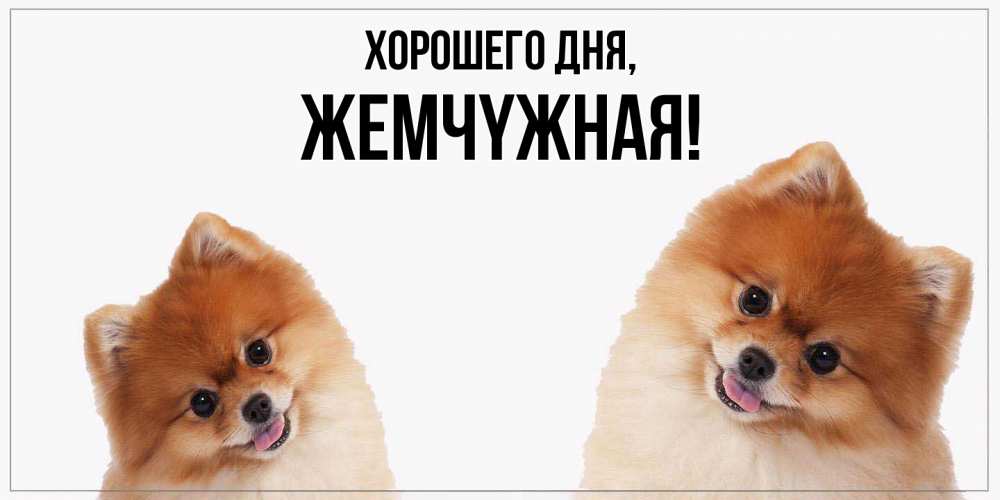 Открытка  для любимых и родных. жемчyжная, Хорошего дня  