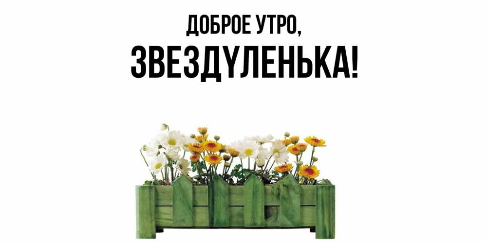 Открытка  для любимых и родных. звездyленька, Доброе утро  