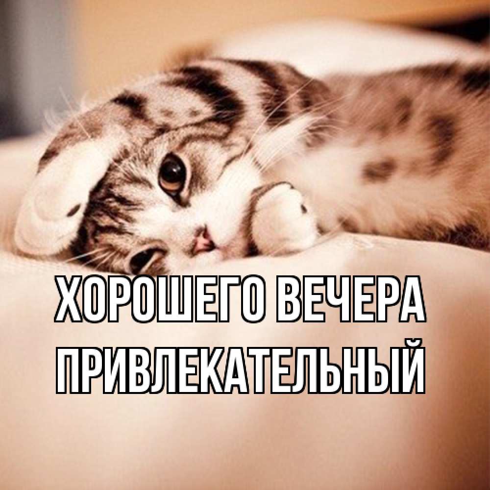Открытка  для любимых и родных. привлекательный, Хорошего вечера  