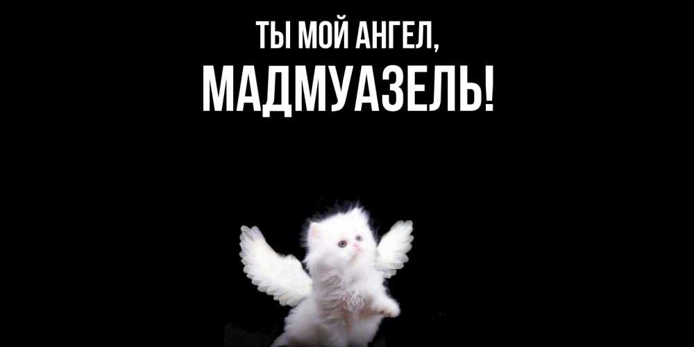 Открытка  для любимых и родных. мадмуазель, Ты мой ангел  