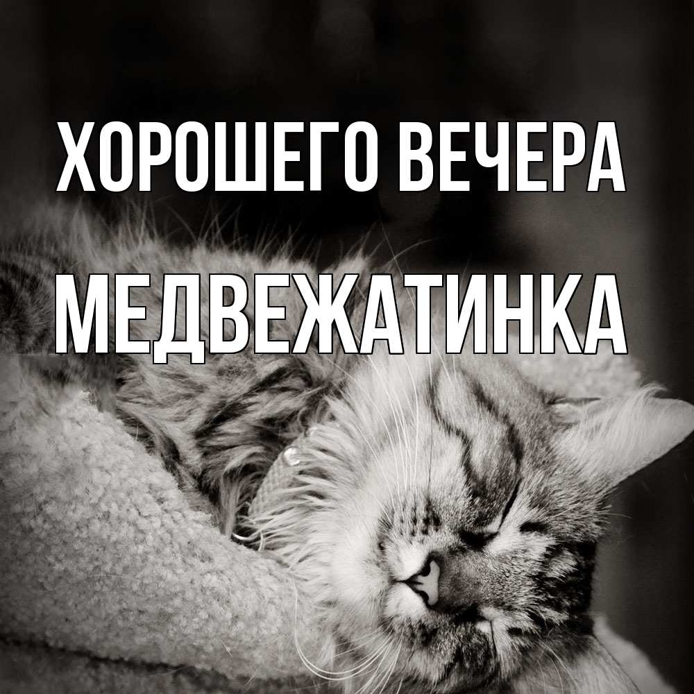 Картинка Хорошего вечера, медвежатинка