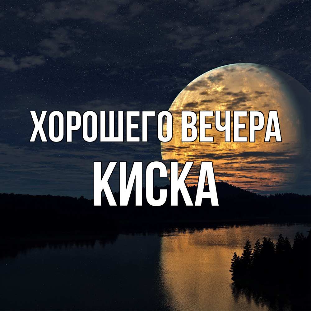 Открытка  для любимых и родных. киска, Хорошего вечера  