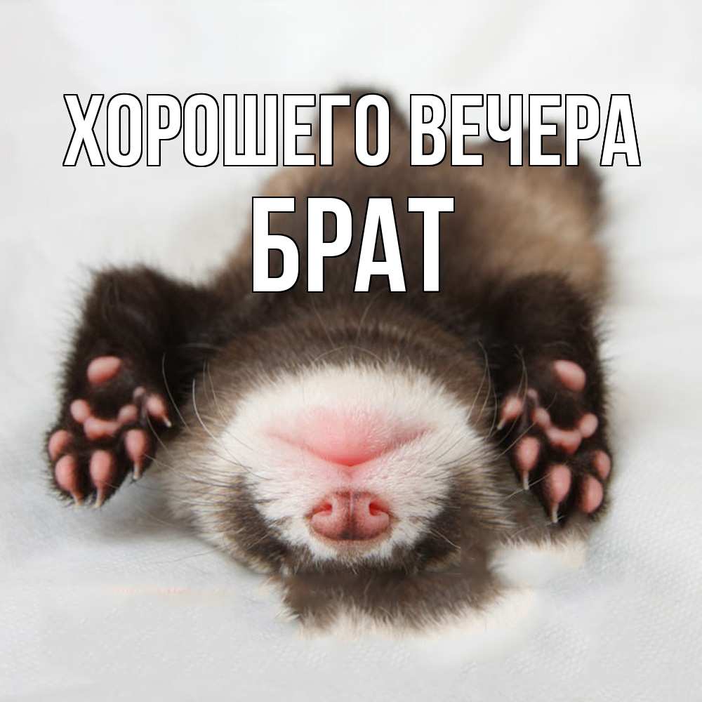 Открытка  для любимых и родных. Брат, Хорошего вечера  