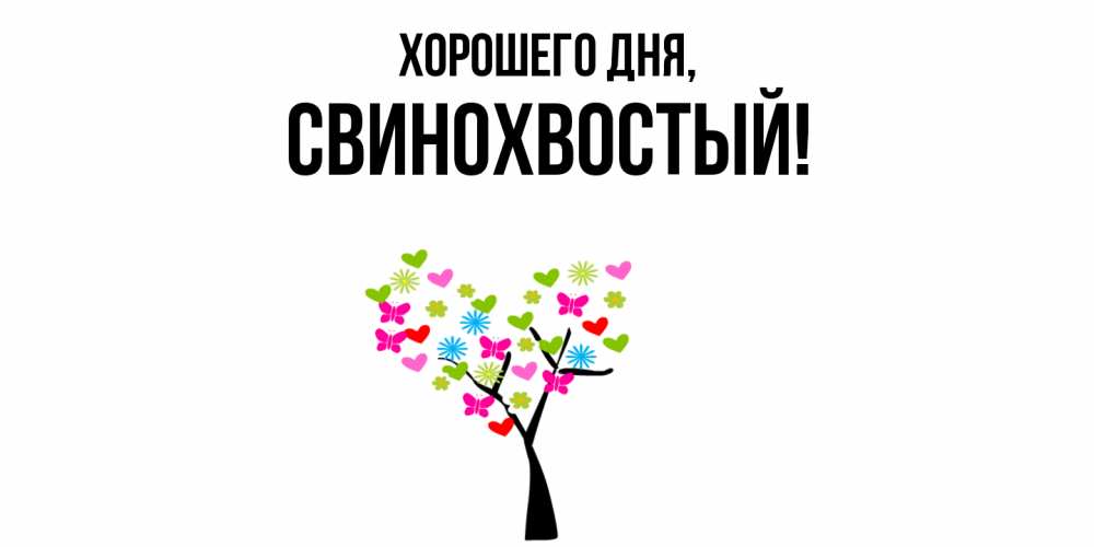 Открытка  для любимых и родных. свинохвостый, Хорошего дня  