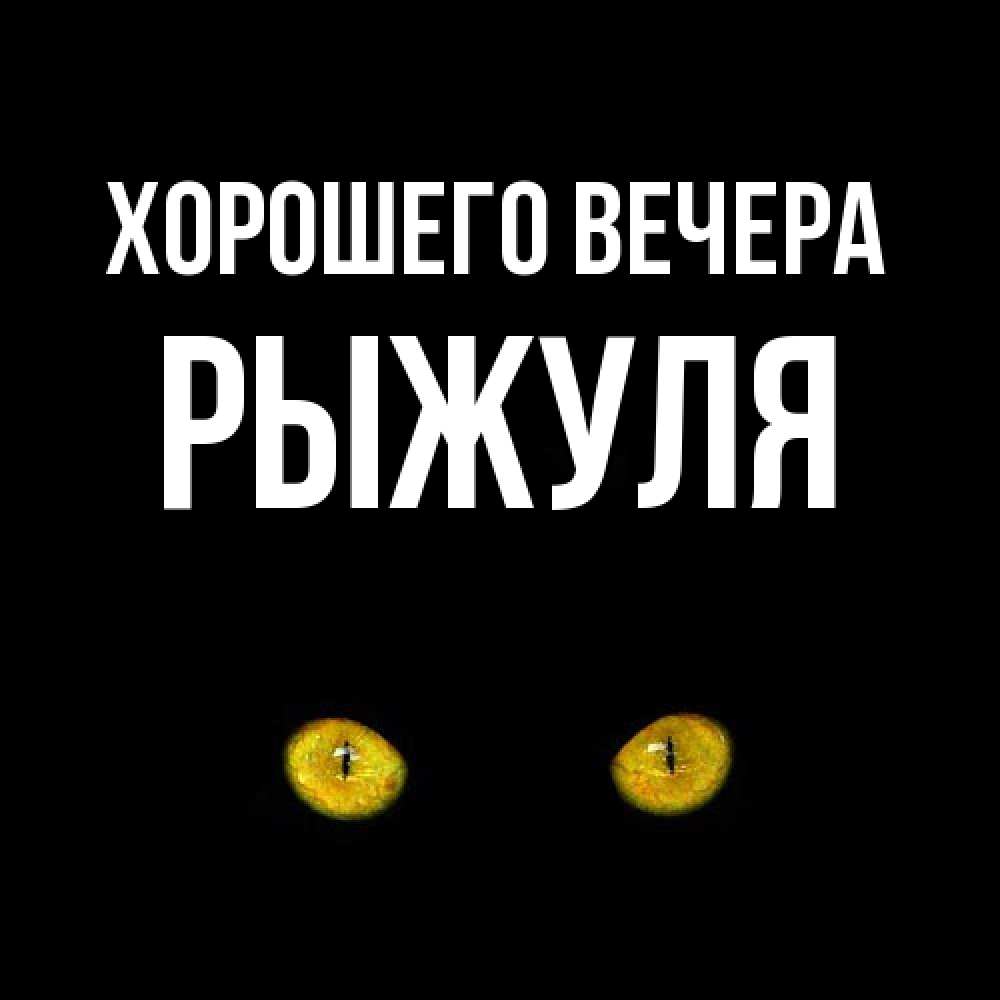Открытка  для любимых и родных. рыжуля, Хорошего вечера  