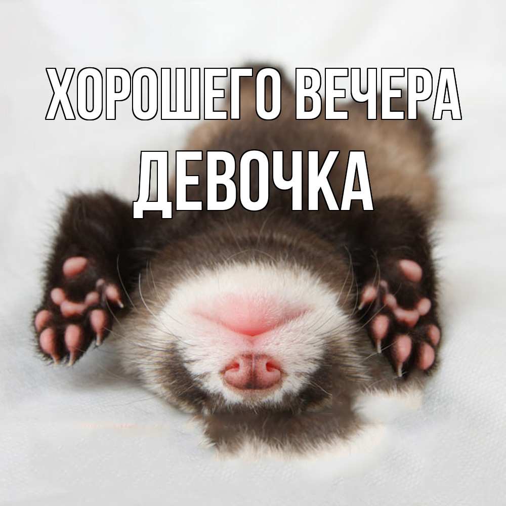 Открытка  для любимых и родных. девочка, Хорошего вечера  