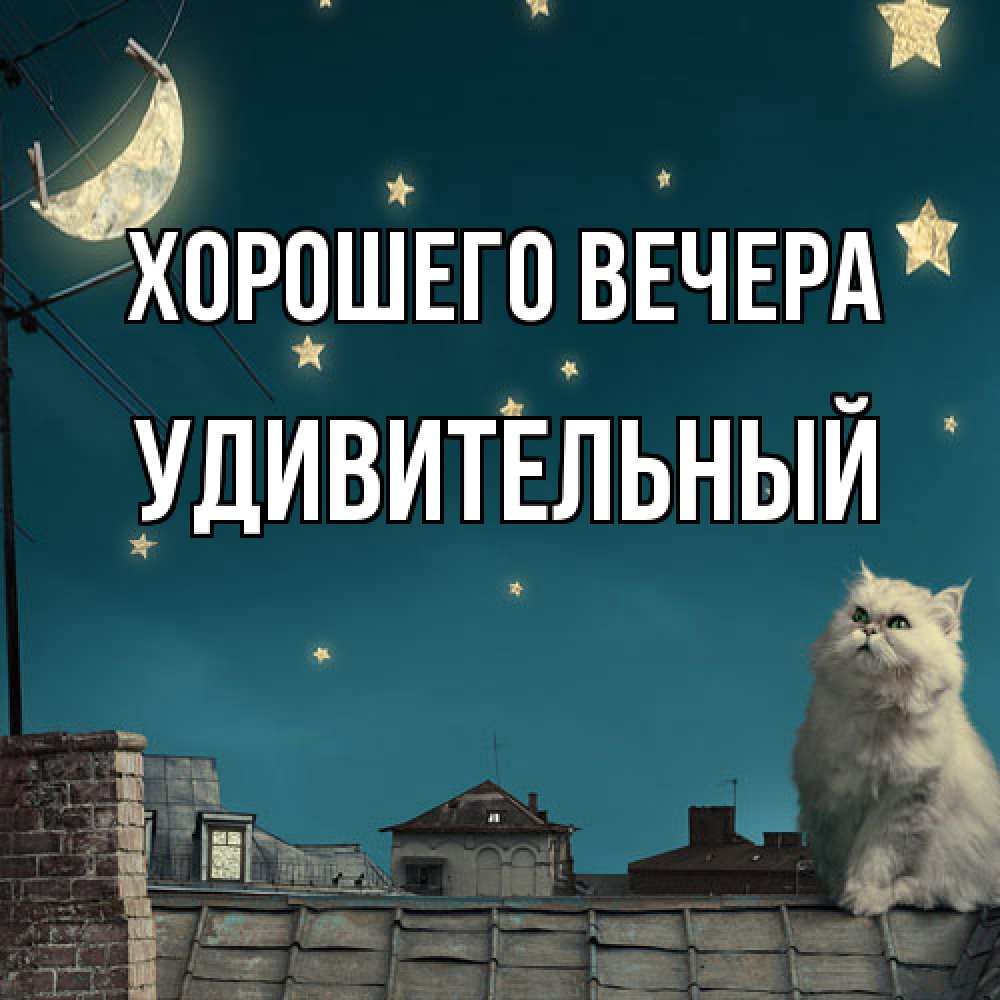 Открытка  для любимых и родных. удивительный, Хорошего вечера  