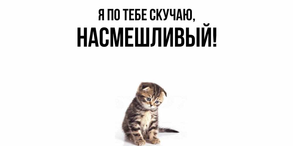 Открытка  для любимых и родных. насмешливый, Я по тебе скучаю  