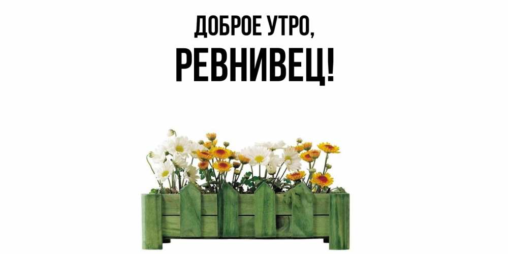 Открытка  для любимых и родных. ревнивец, Доброе утро  