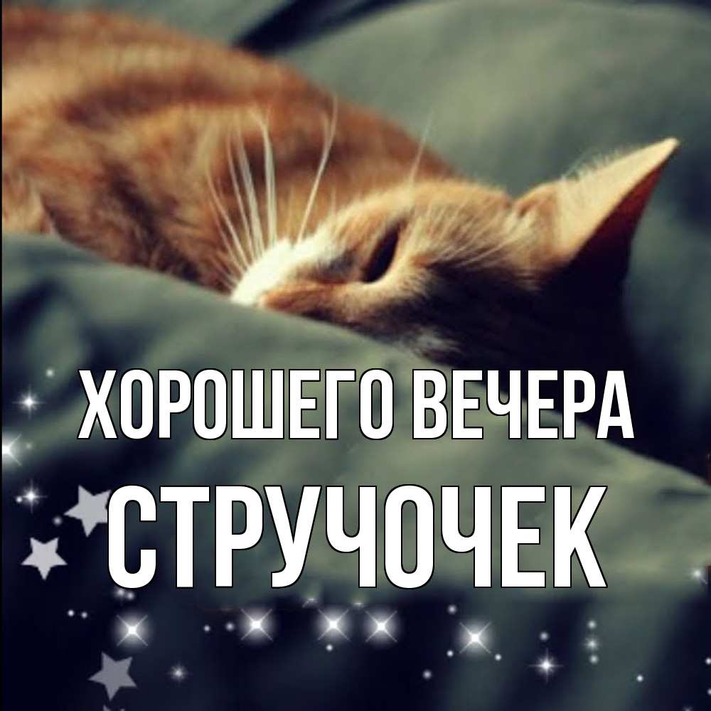 Картинка Хорошего вечера, стручочек