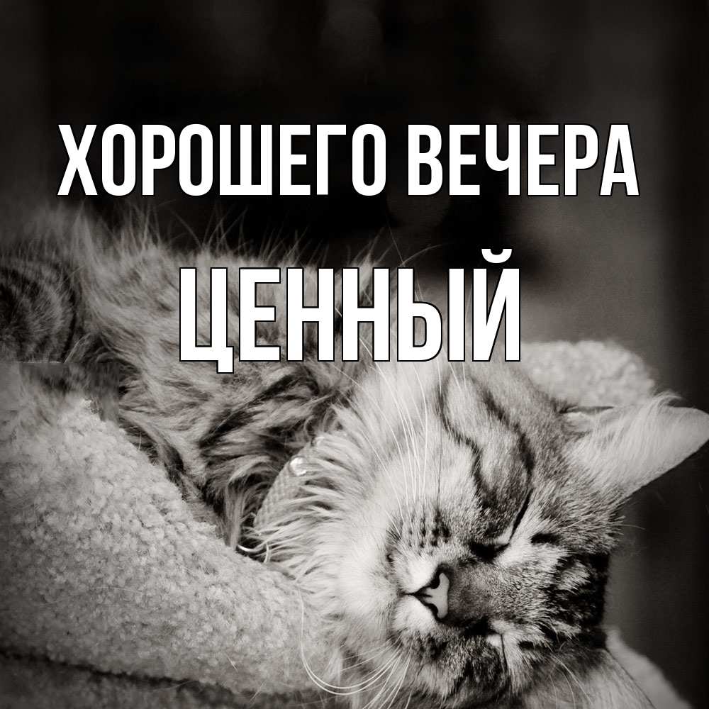 Открытка  для любимых и родных. ценный, Хорошего вечера  