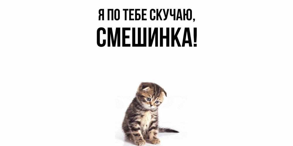 Открытка с именем, смешинка, Я по тебе скучаю