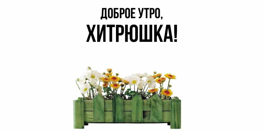 Открытка  для любимых и родных. хитрюшка, Доброе утро  
