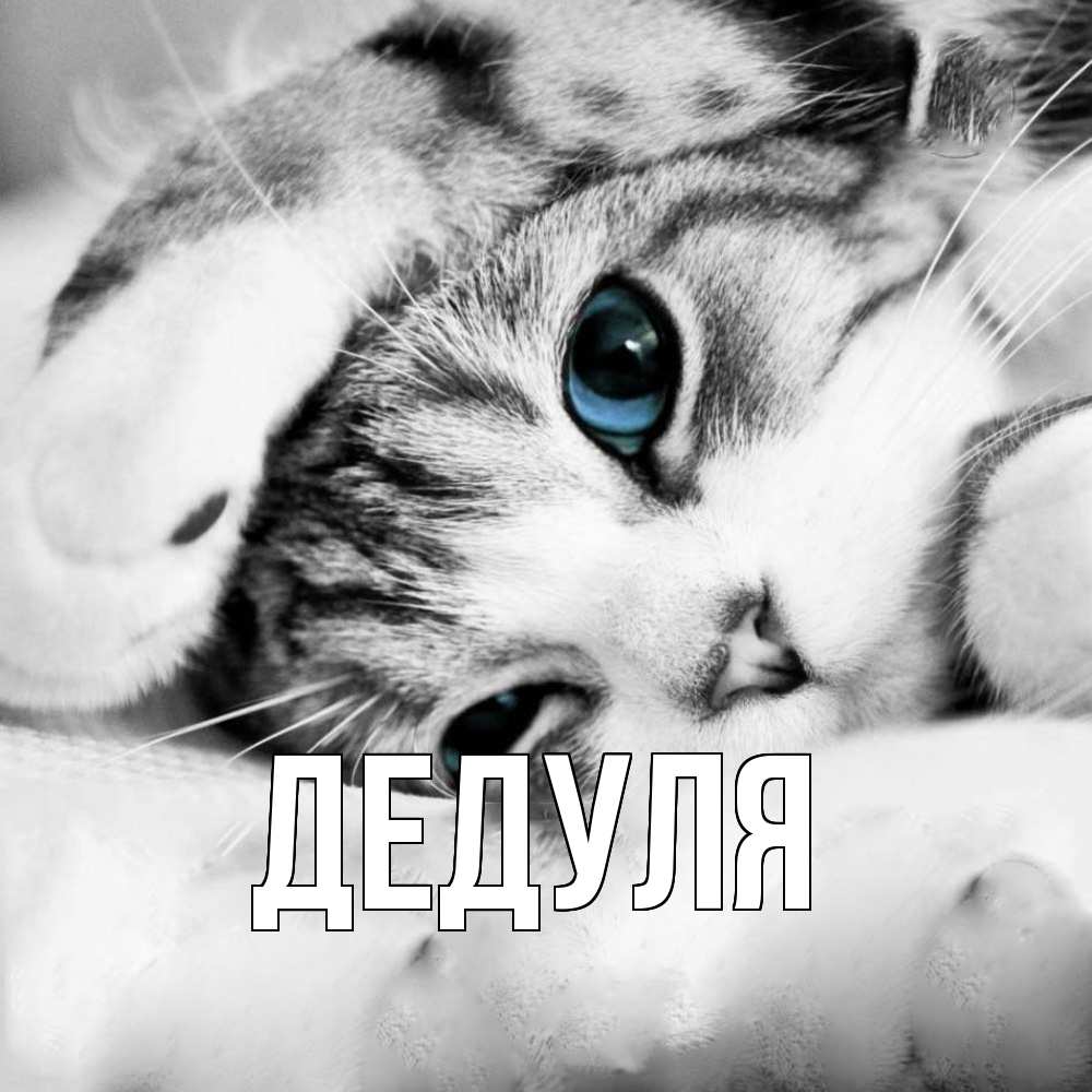 Картинка  с именем , Дедуля