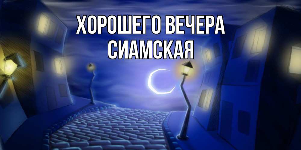 Картинка Хорошего вечера, сиамская