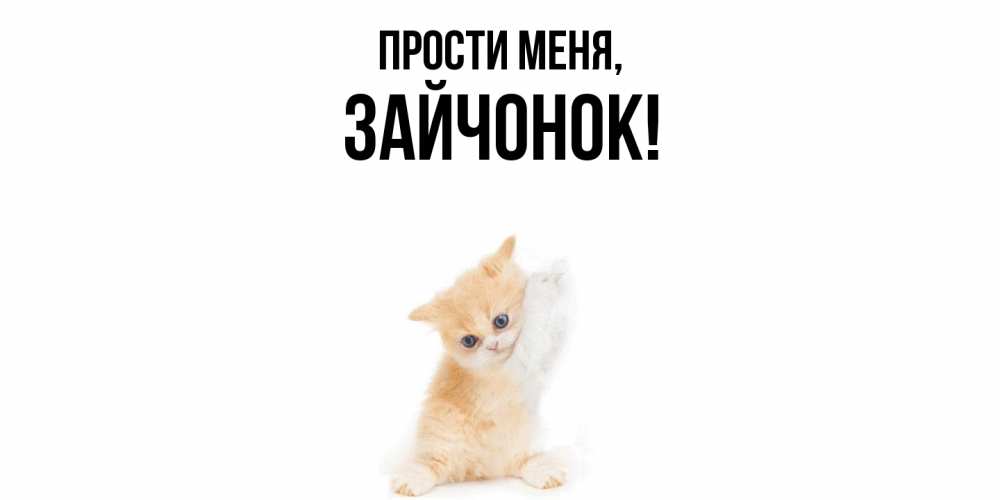 Открытка  для любимых и родных. зайчонок, Прости меня  
