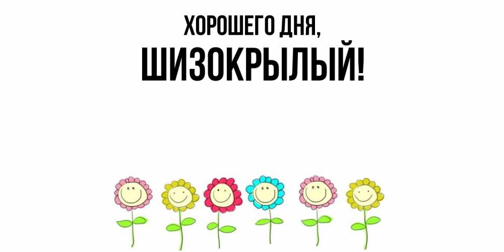 Открытка  для любимых и родных. шизокрылый, Хорошего дня  