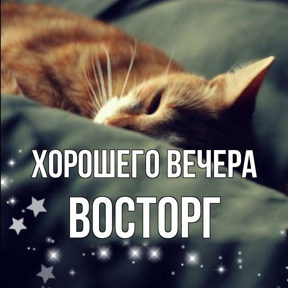 Картинка Хорошего вечера, восторг