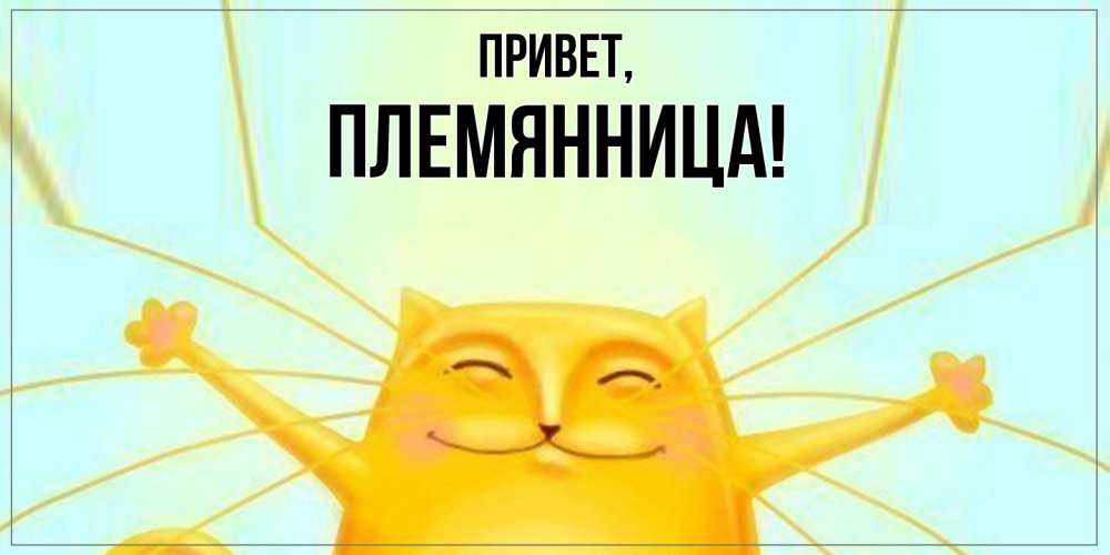 Картинка Привет, Племянница