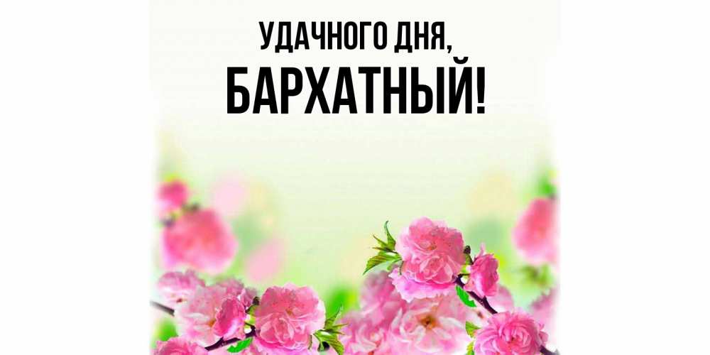 Открытка с именем, бархатный, Удачного дня